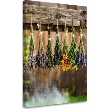 Obraz Obraz do kuchyně jídelny, Bylinky koření rostliny 40x60