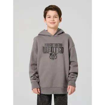 Chlapecká mikina Sinsay - Mikina s potiskem Dungeons & Dragons - šedá - 032GA-85X - 032GA-85X-158