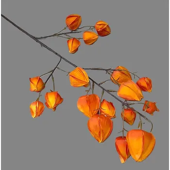 Vánoční dekorace Větvička mochyně velká