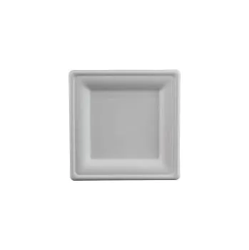 Talíř ViGO Talíře čtvercové z cukrové třtiny 20 cm