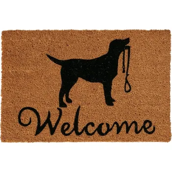 Rohožka Hotová PVC rohožka do interiéru 60 x 40 cm