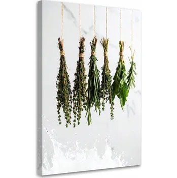 Obraz Obraz do kuchyně, jídelny, restaurace, Bylinky koření rostliny 60x90
