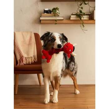 Hračka pro psa Sinsay - Hračka pro psa - červená - 901FB-33X - 901FB-33X-ONE