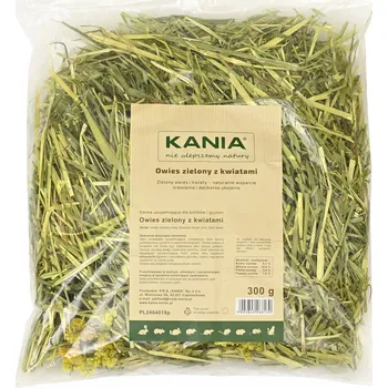 Krmivo pro hlodavce Kania Owies Zielony z Kwiatami Zelený oves s květy – Bylina ovsa pro osmáky degu, Králíky a Hlodavce