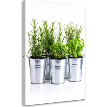 Obraz Obraz do kuchyně jídelny, Bylinky a koření 40x60