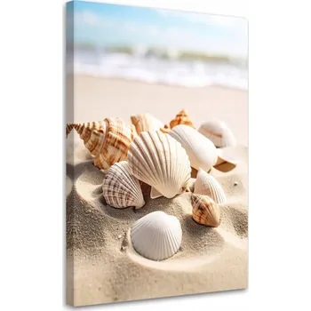 Obraz Obraz do obýváku, kuchyně, kanceláře, Mušle pláž příroda béžová 40x60