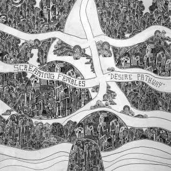Zahraniční hudba CD Screaming Females: Desire Pathway 2023