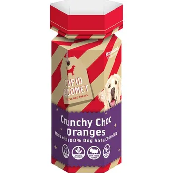 Pamlsek pro psa Rosewood dog snack crunchy choc oranges 100 g