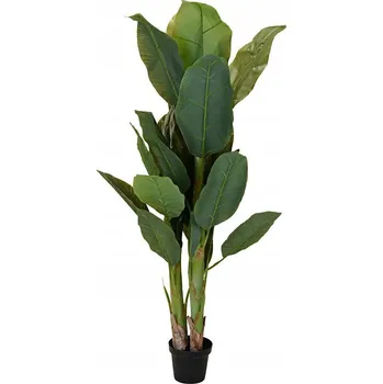 umělá květina Umělý banánovník v květináči Koopman 165 cm