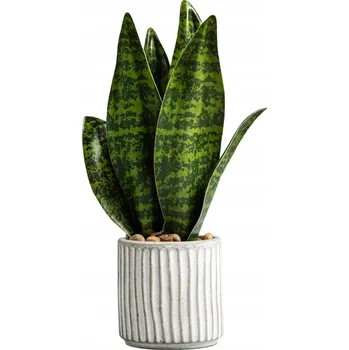 umělá květina UMĚLÁ ROSTLINA Sanseviera HOMLA 20 cm