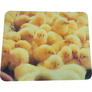 Podložka pod myš Podložka pod myš Tracer 22x18 cm