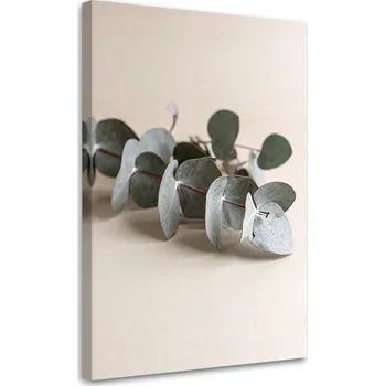 Obraz Moderní obraz do obýváku, Listy rostliny příroda béžový 40x60