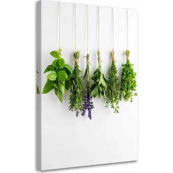 Obraz Obraz do kuchyně jídelny, Bylinky a koření 40x60