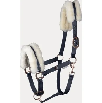 Vybavení pro koně WALDHAUSEN Ohlávka Modern Rosé modrá Cob