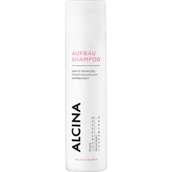 Šampon Šampon pro blond a barvené vlasy (Color & Blonde Shampoo) Alcina - 1250 ml