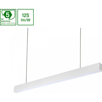Spectrum Woj-WOJP06352