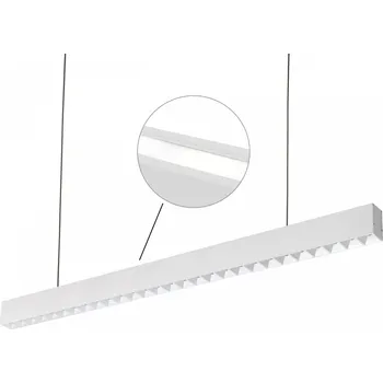 Spectrum Woj-WOJP06581