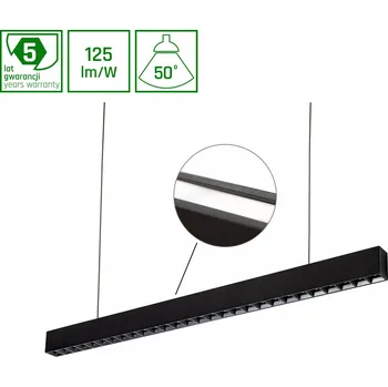 Spectrum Woj-WOJP09691