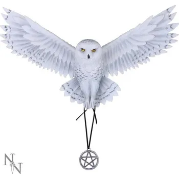 Nemesis Now Magic Owl Pentagram - nástěnná dekorace 45 cm