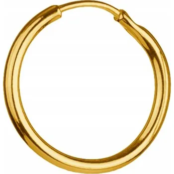 Náušnice Zlatá Náušnice Kruh malý Kroužek pro Ženu Muže do Ucha Stříbrná 925 1cm