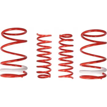 Sada odpružení pro spouštěcí pružiny COBRA 00.5039.C