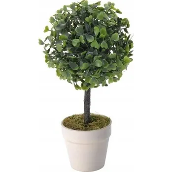 umělá květina Umělý buxus v květináči 23 cm