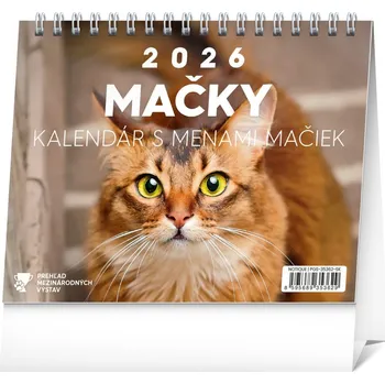 Kalendář NOTIQUE Stolový kalendár Mačky – s menami mačiek 2026, 16,5 x 13 cm