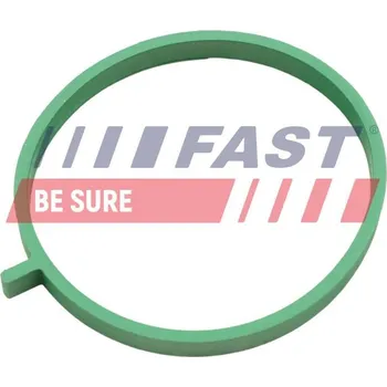 Těsnění motoru Těsnění, koleno sacího potrubí FAST FT49472