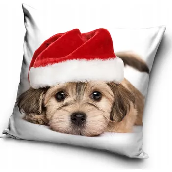 Povlak na polštářek Dekorační povlak na polštář Carbotex 40 x 40 cm