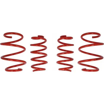 Sada odpružení pro spouštěcí pružiny COBRA 00.4930.C