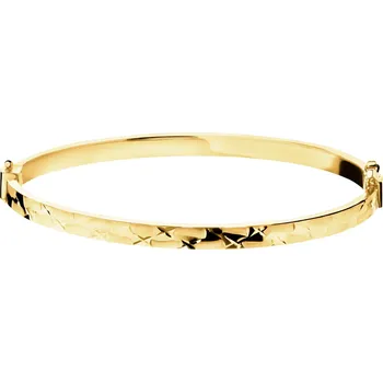 Náramek Zlatý náramek - AP542-3284