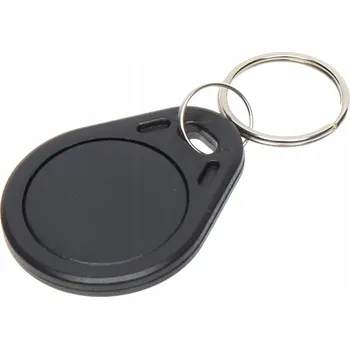 Přívěsek Na Klíče přívěsek s čipem 125 kHz pro čtečku domovního telefonu