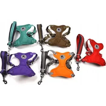 Postroj pro psa Sada postroje pro domácí mazlíčky + vodítko (kávová) L
