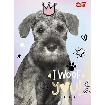 Sešit Sešit A5 s linkami Unipap, 16 listů