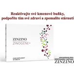 ZinZino ZINOGENE+ 30 tablet