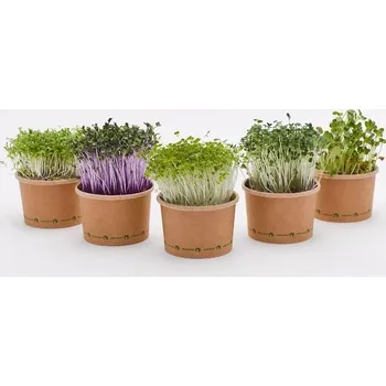Pěstební systém Pěstební kelímek Tiny Greens - kapusta