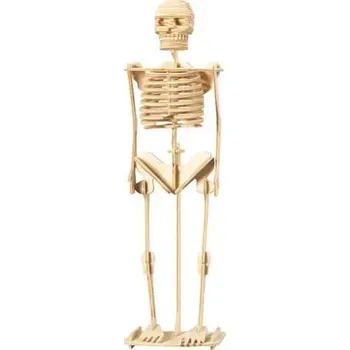 ostatní stavebnice Woodcraft Dřevěné 3D puzzle Kostra