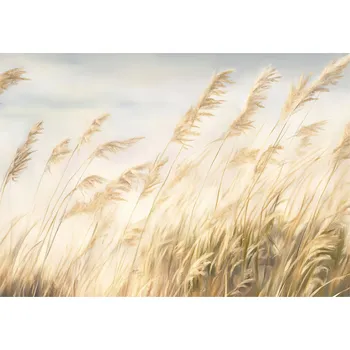 Fototapeta FOTOTAPETA TRÁVA PAMPASOVÁ PŘÍRODA LOŽNICE OBÝVACÍ POKOJ TAPETA FLIZELINA 350x250