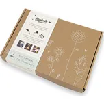 Blossombs Semínkové bomby - Dárková sada menší (7 ks) - originální a praktický dárek v jednom