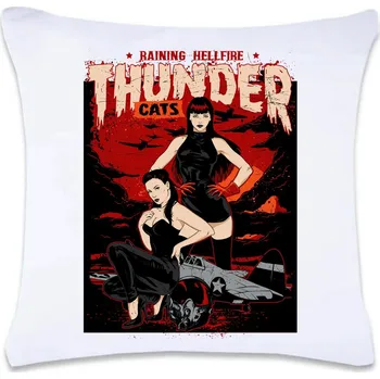 Dekorativní polštářek DOBRÝ TRIKO Polštář s potiskem 40 x 40 cm Thunder cats Oboustranný tisk: NE