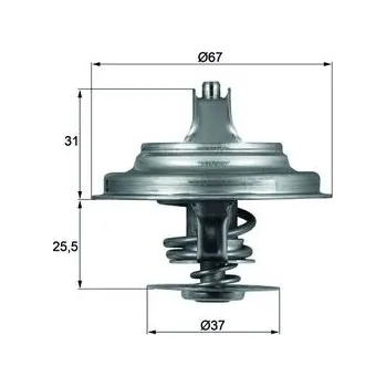 Chladič motoru Termostat chladící kapaliny MAHLE ORIGINAL TX 25 71D