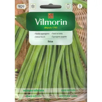 Semeno Fazol na lusky Ibiza (trpasličí, zelený)