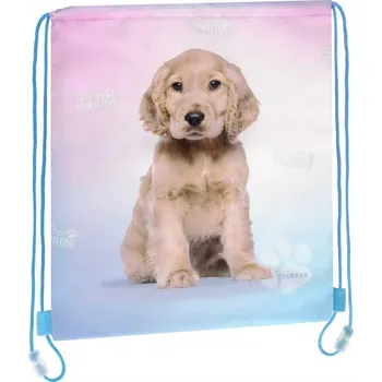 Školní sáček Taška Vak na rameno STARPAK 527158