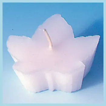 Výroba svíčky forma plovoucí list 6ks