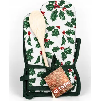 Chňapka Kuchyňská chňapka vánoční AK-3945, cesmína, zelená 28x18cm + podložka 20x20