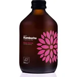 viGO Kombucha BIO mango/maracuja 330 ml
