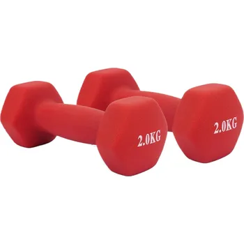 Sada činek 2 x 2 kg ideální pro domácí cvičení, červené