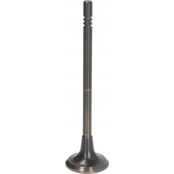 Motor automobilu Výfukový ventil (30x5 96x115 6) pasuje na: CHRYSLER 200 300C TOWN &