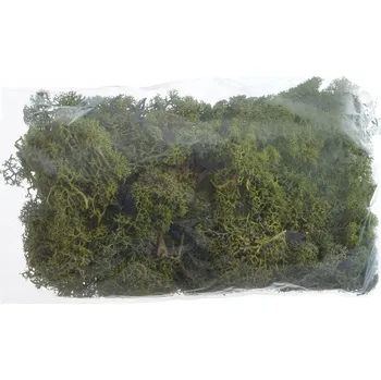 Obraz Mech chrobotek tmavě zelený 100g