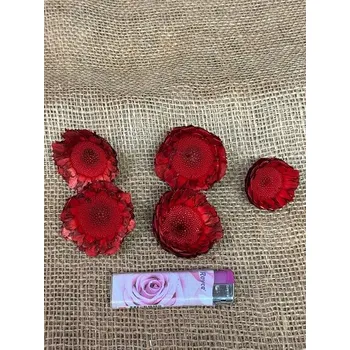 Coronata rosette loose 15 ks červená